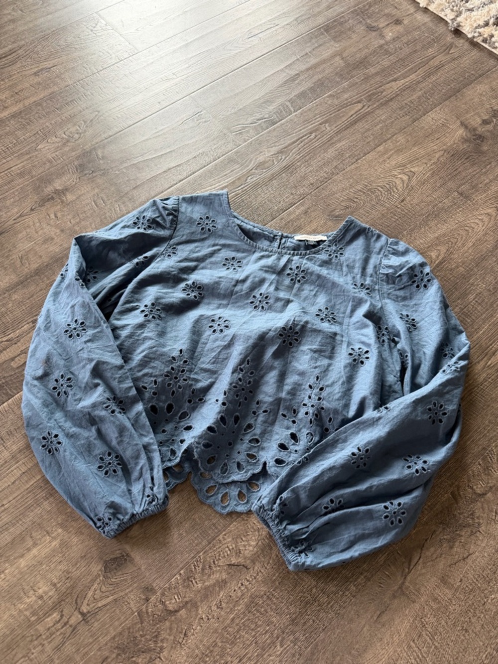 American Eagle Outfitters Blue Eyelet Long-Sleeve Cropped Blouse